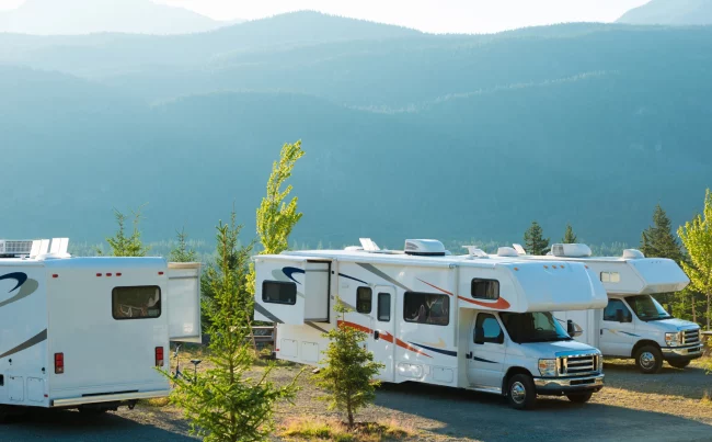 WILD_ENERGY_PRINT_AD_7.25_x_4.5_in The Environmental Impact of RV Parks and How to Reduce It