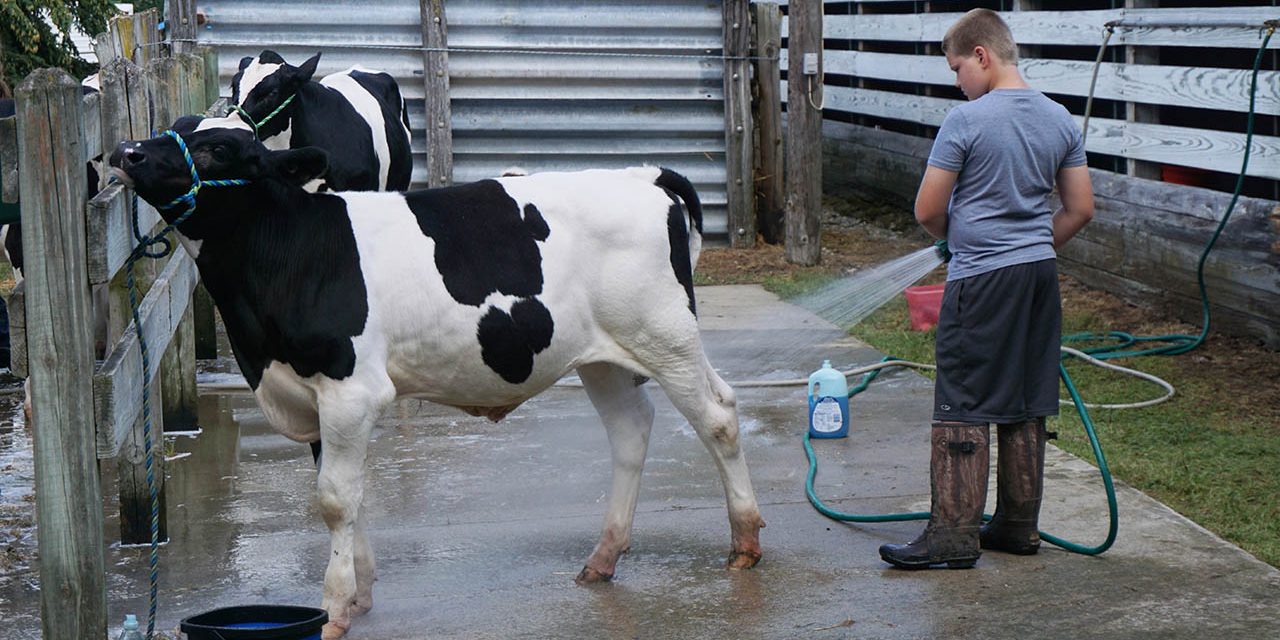 Gateway Park Campground and the Hillsdale County Fair Gateway Park Campground and the Hillsdale County Fair